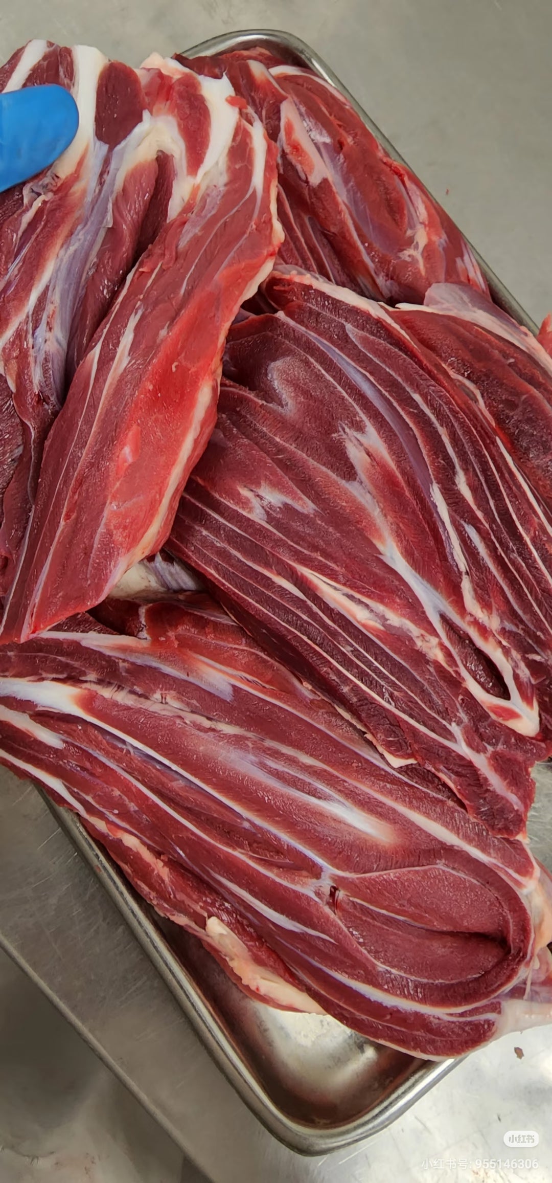 Premium Gravy Beef - Shin Shank