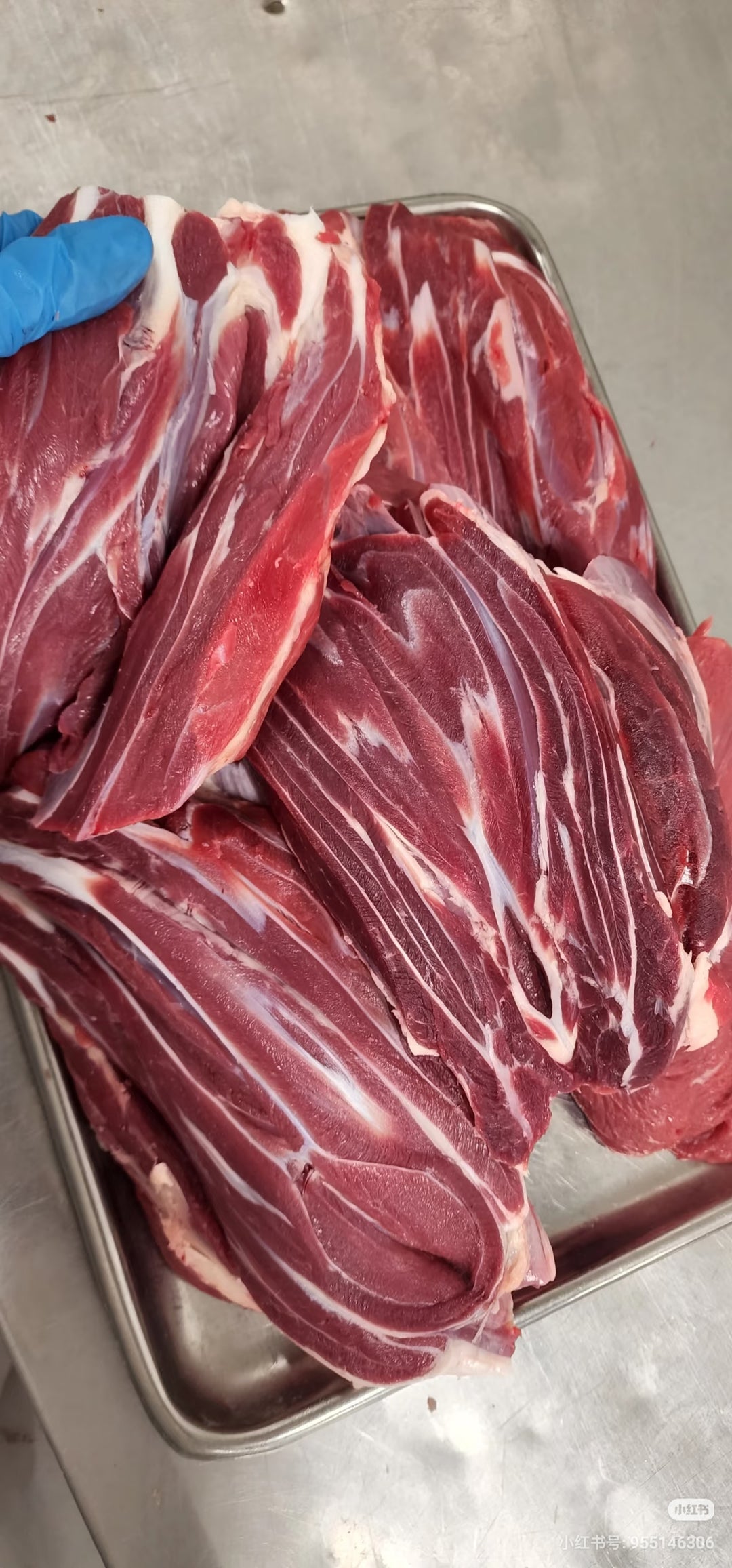 Premium Gravy Beef - Shin Shank